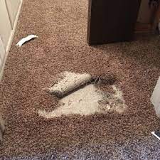 critical carpet repair updated march