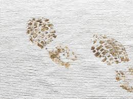 muddy stains out of your carpet