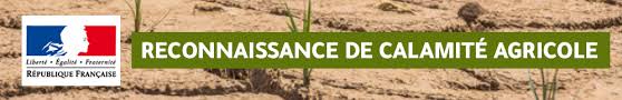 Calamité agricole – demande d'indemnisation des pertes | Ville de Loupian