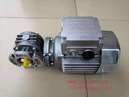 electric motor manufacturers in india