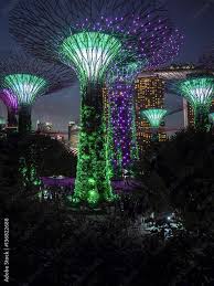 Solar Powered Trees Lit Up At Night At