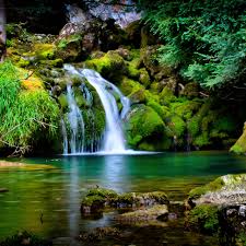 tropical forest wallpaper 4k waterfall
