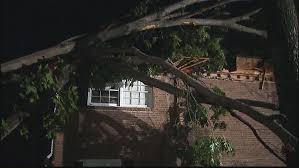 friday storms cause damage in dunwoody