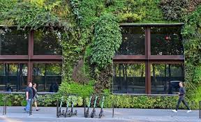 How To Create A Living Wall Tips For