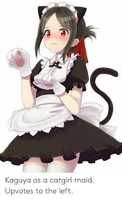 Share the best gifs now >>>. S Kaguya As A Catgirl Maid Upvotes To The Left Anime Meme On Me Me