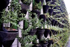 how to create a vertical garden inside