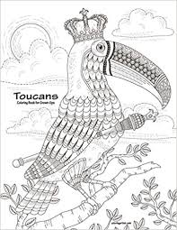 Download 437 tropical toucan free vectors. Amazon Com Toucans Coloring Book For Grown Ups 1 Volume 1 9781729600085 Snels Nick Books
