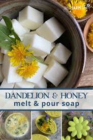 dandelion honey melt pour soap