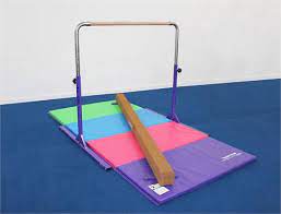 home gym essentials bundle 1 3 8 thick mat
