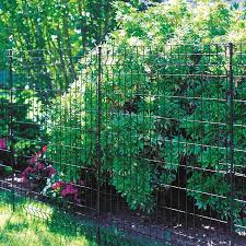 Garden Fence Panels