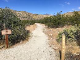 dog friendly hikes in greater palm springs