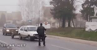 Find funny gifs, cute gifs, reaction gifs and more. Gif Image Most Wanted Hit By Car Gif