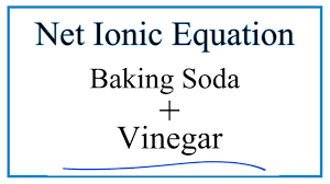 how to write the net ionic equation for