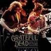 Grateful [2 LP]