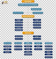 Organizational Chart Empresa Micro Enterprise Correo