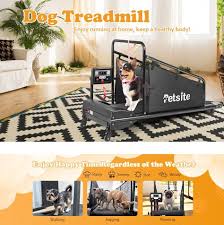 pet treadmill indoor exercise for dogs
