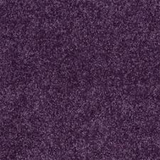 violets by color daltoncarpet com