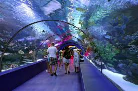 The ancient holy city is a unesco world heritage site located on natural hot springs which are. Antalya City Tour Duden Waterfall And Aquarium With Lunch 2021 Belek