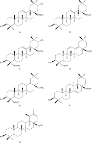 sucrose polyester an overview