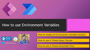 how to use environment variables you