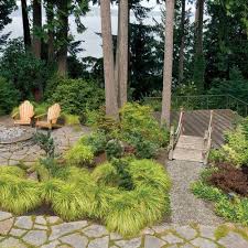Designing A Garden In The Woods