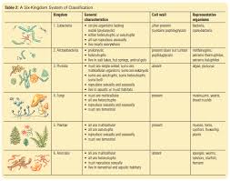 Taxonomy Sbi 3u Biology