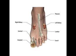 Acupressure Points In Hands And Legs Youtube