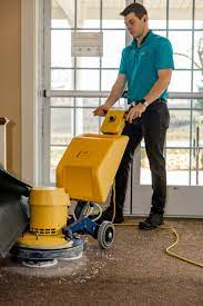 best carpet cleaner in indiana terry