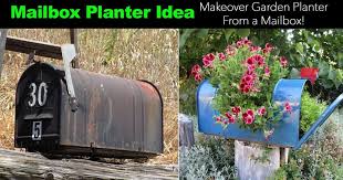 Mailbox Garden Ideas How To Create