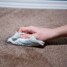 natural homemade carpet cleaner