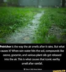 petrichor is the way the air smells