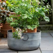 Buy Metal Planter Delivery By Waitrose