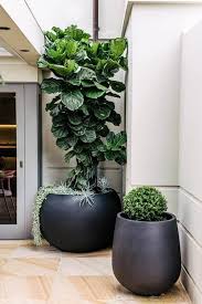 outdoor planters indoor plant pots