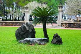 rock garden japanese zen stone