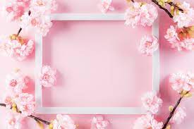 photo pastel pink colours background