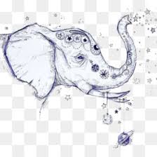 Cara menggambar gajah yang mudah sketsa gambar gajah merupakan salah satu jenis sketsa yang paling disukai dan digemari oleh para pecinta sketsa atau gambar. Gajah Putih Unduh Gratis Gajah Kertas Gajah Asia Grafit Sketsa Gajah Putih Gambar Png