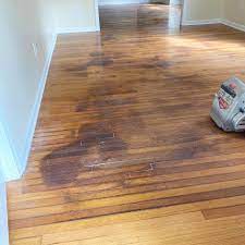 refinish hardwood flooring with pet
