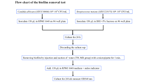Flow Chart Of The Biofi Lm Removal Test Download