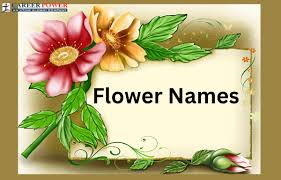 flowers names in english list of 50