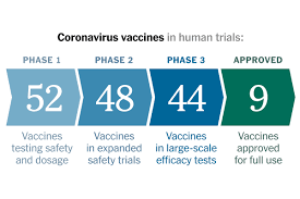 pfizer s early data shows coronavirus