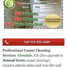 green carpet cleaning service 6315