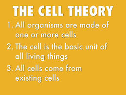 cell theory diagram quizlet