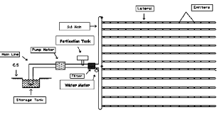 layout of drip irrigation system