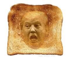 Image result for trump toast + images