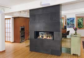 Gas Fireplace Contemporary Family