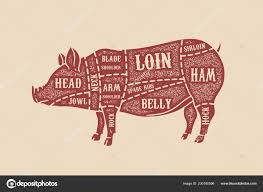 Pig Butchery Diagram Pig Butcher Diagram Pork Cuts Design