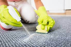 clean a carpet with hydrogen peroxide