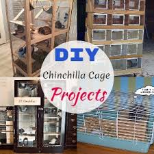 18 diy chinchilla cage plans for your