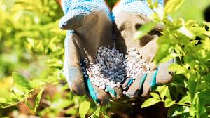 what is npk fertilizer and what does