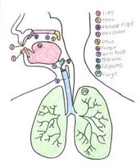 Steps for Smooth Speech for early elementary Repinned by SOS Inc  Resources  http  